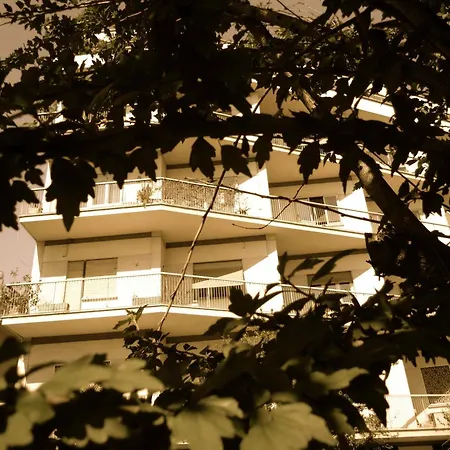 Πανσιόν Alba Romana 4*